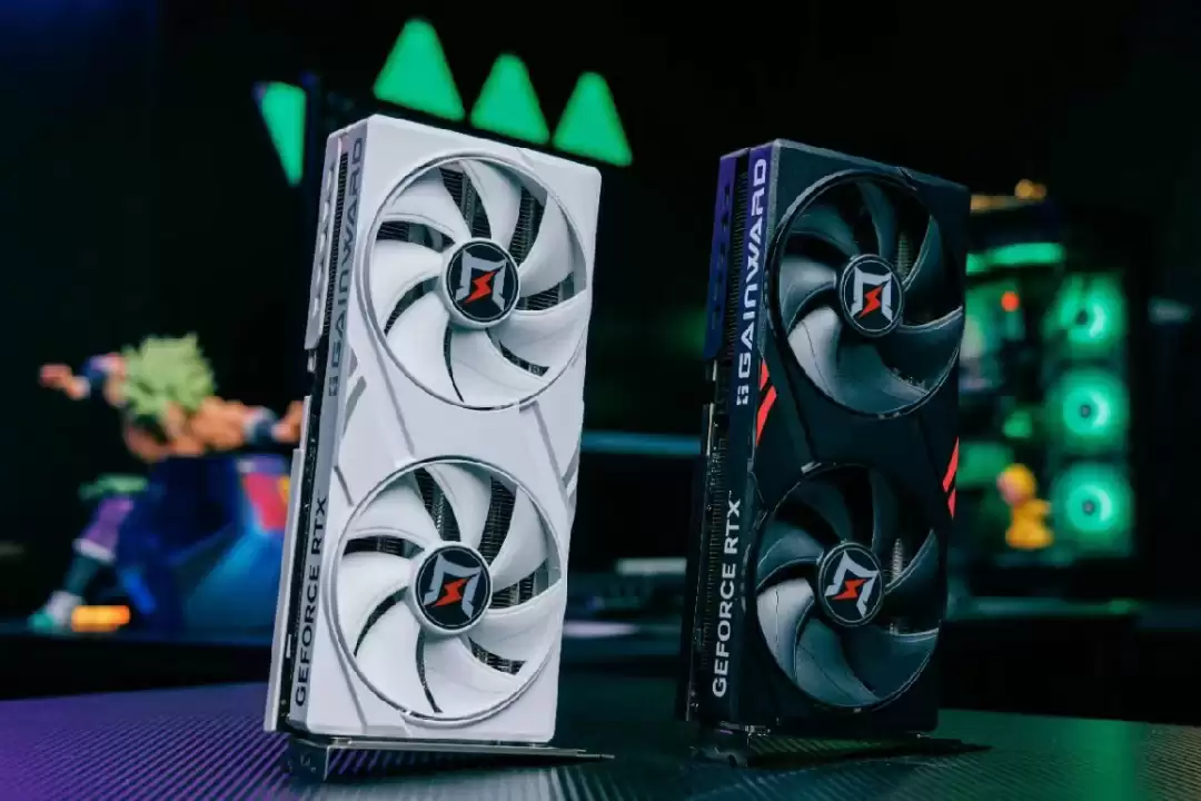 ����С���������飡����RTX5060 ׷��OC��������а