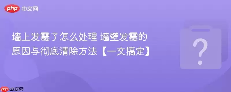 ǽ�Ϸ�ù����ô���� ǽ�ڷ�ù��ԭ���볹�����������һ�ĸ㶨��