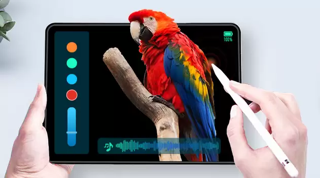 ����������������8.6��OLED���