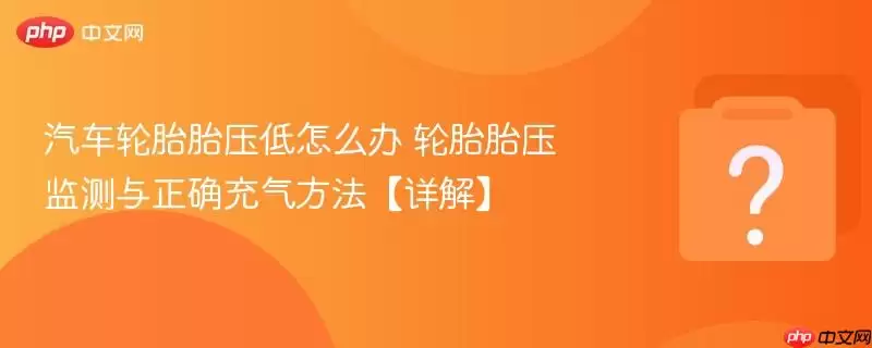 ������̥̥ѹ����ô�� ��̥̥ѹ�������ȷ������������⡿