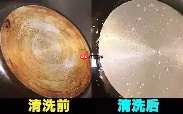 ������ۿ�������ȥ������ �̵���������벻������౦��