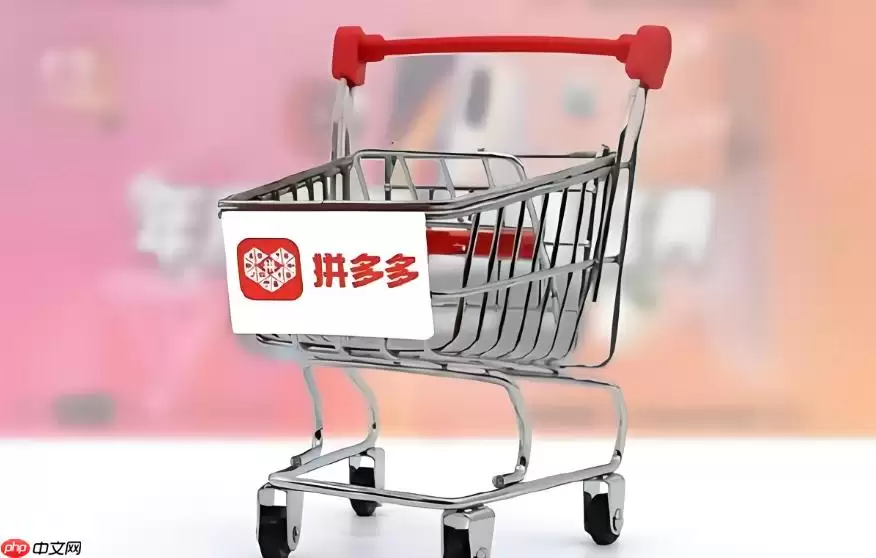 ƴ���һ����׬����Ǯ ƴ���Ӷ������������������