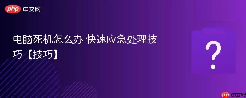 ����������ô�� ����Ӧ���������ɡ����ɡ�