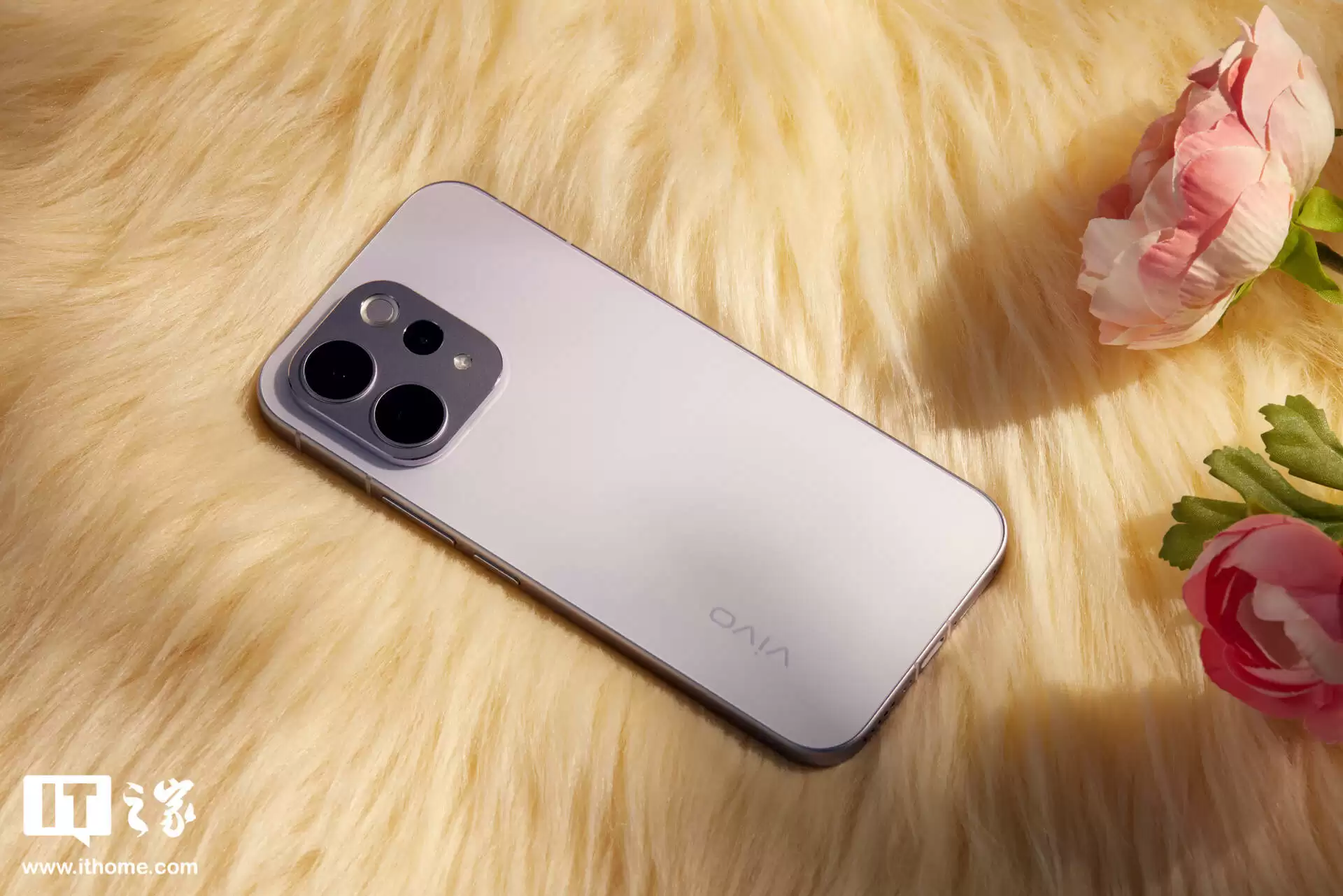 vivo S50 �ֻ�ͼ�ͣ�ɴ�й�������ס���ѧ�������п��µ��콢�ʸ�