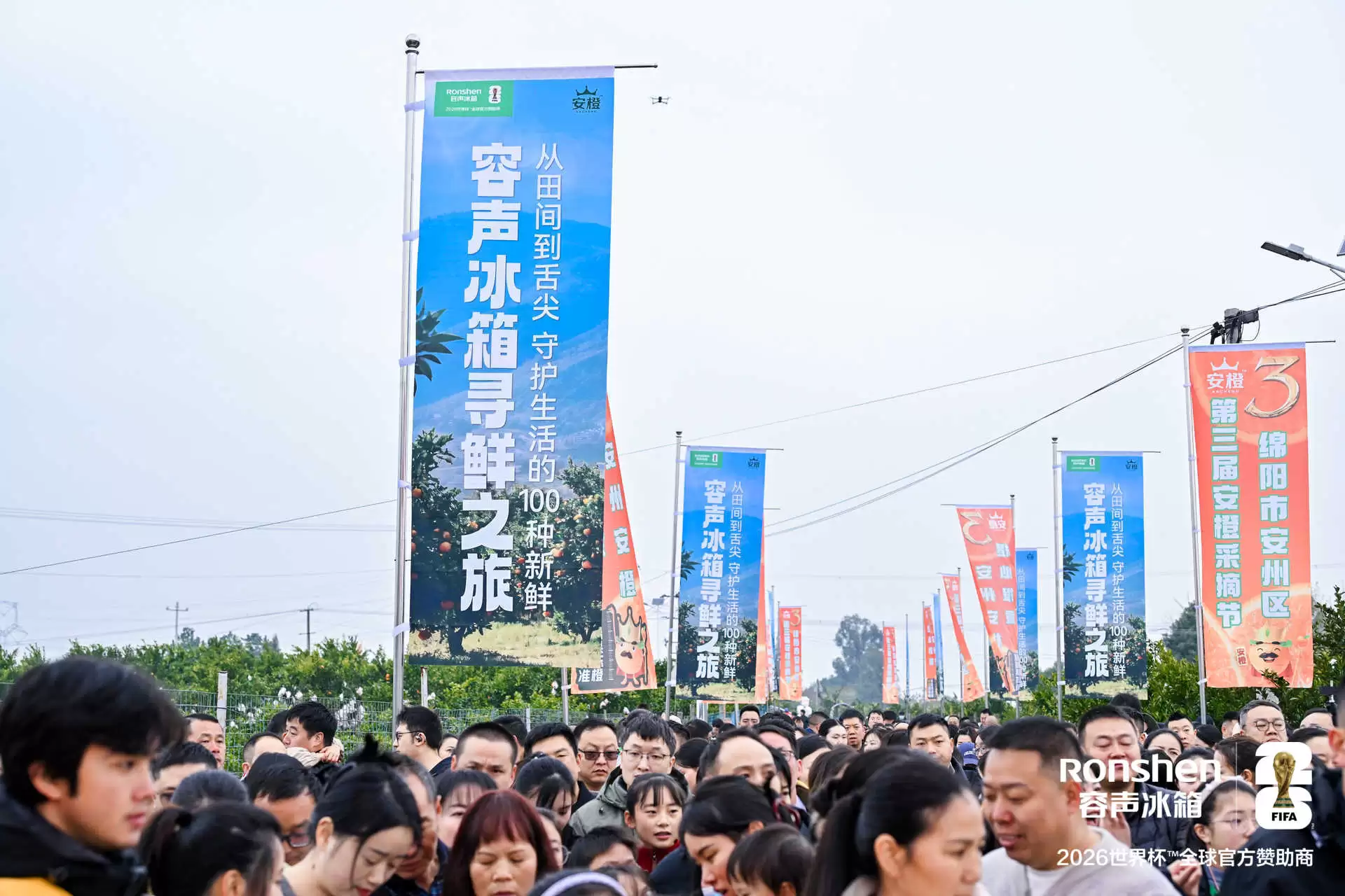 ��֦ͷ����⣺�����������������ȡ��ʻ�ֱ��ƽ��ζ