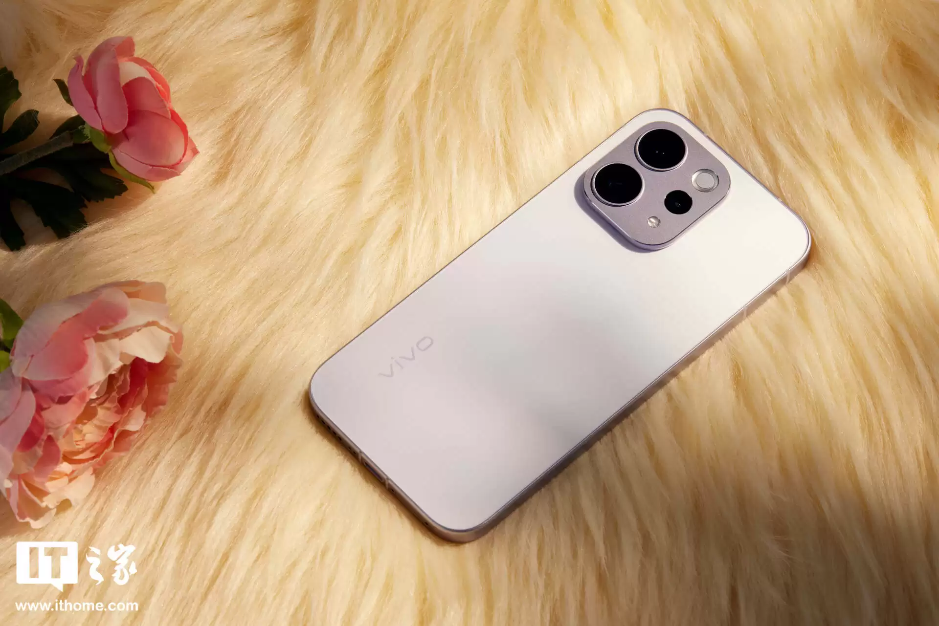 vivo S50 �ֻ�ͼ�ͣ�ɴ�й�������ס���ѧ�������п��µ��콢�ʸ�