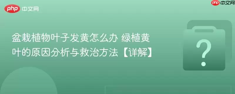 ����ֲ��Ҷ�ӷ�����ô�� ��ֲ��Ҷ��ԭ���������η�������⡿