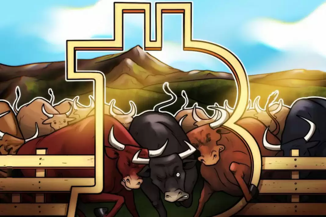 Daan Crypto Trades���������رң�BTC����ͷ������ס�ؼ�λ�Ա������7.6����Ԫ