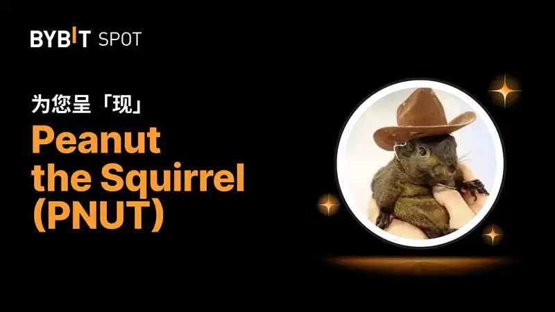 2025��12��ֵ�ù�ע��Pump.fun��̬�µ����ű���