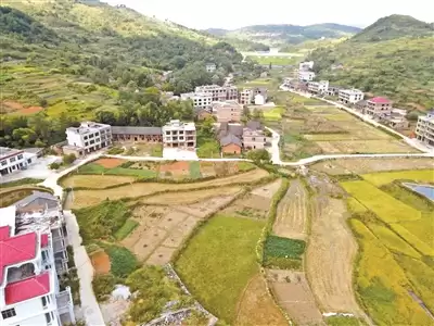 ����5�� �����¼1100������