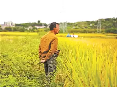 ����5�� �����¼1100������