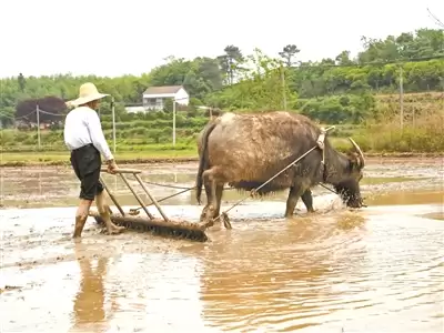 ����5�� �����¼1100������