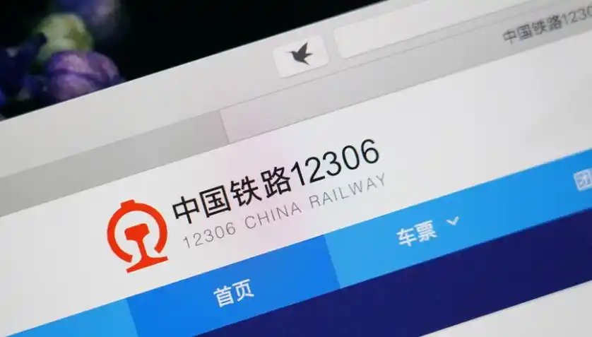 12306����ƾ֤��ô��ӡ_12306��Ʊ���ӷ�Ʊ��������ȡ����ƾָ֤��