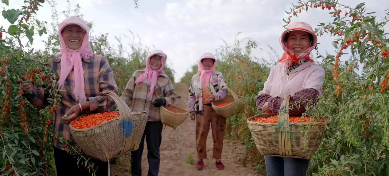 ����ESG����������䡰Ѱ��֮�á���ũ���ѡ�������ʵ���ɹ�