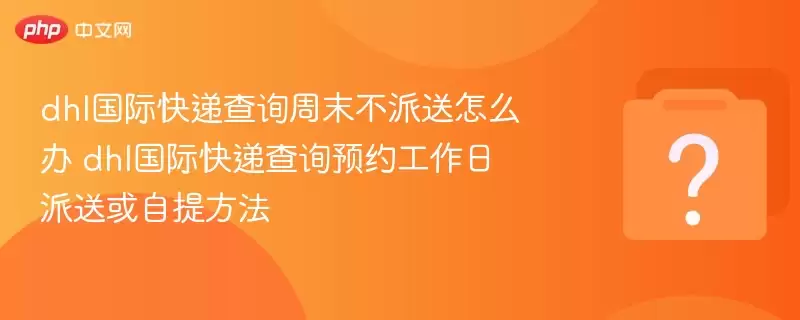 dhl���ʿ�ݲ�ѯ��ĩ��������ô�� dhl���ʿ�ݲ�ѯԤԼ���������ͻ����᷽��