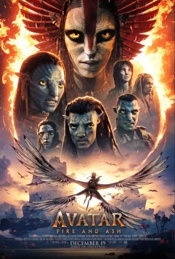 ������3�������Ԥ���ư���12��19��ȫ��ͬ����ӳ������ĩӰ��