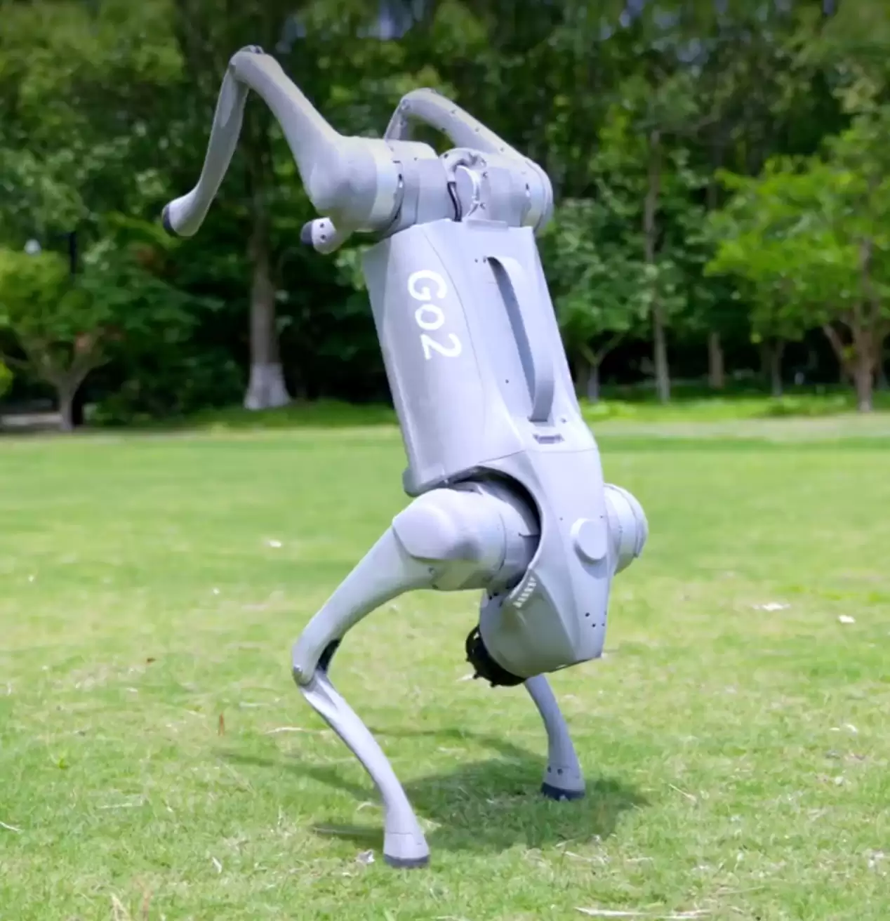 AI ������飺���� Go2 Air ������ 9997 �� 8317 Ԫ��ĩֱ��