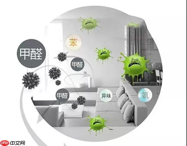 ��ķ��Ӹо���ȩ���귿��������ô�죿 renters��֪��άȨ����״�������