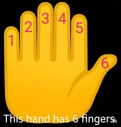 AI����ָ���⡱������6 ����ָ��¶ Transformer ����ȱ��