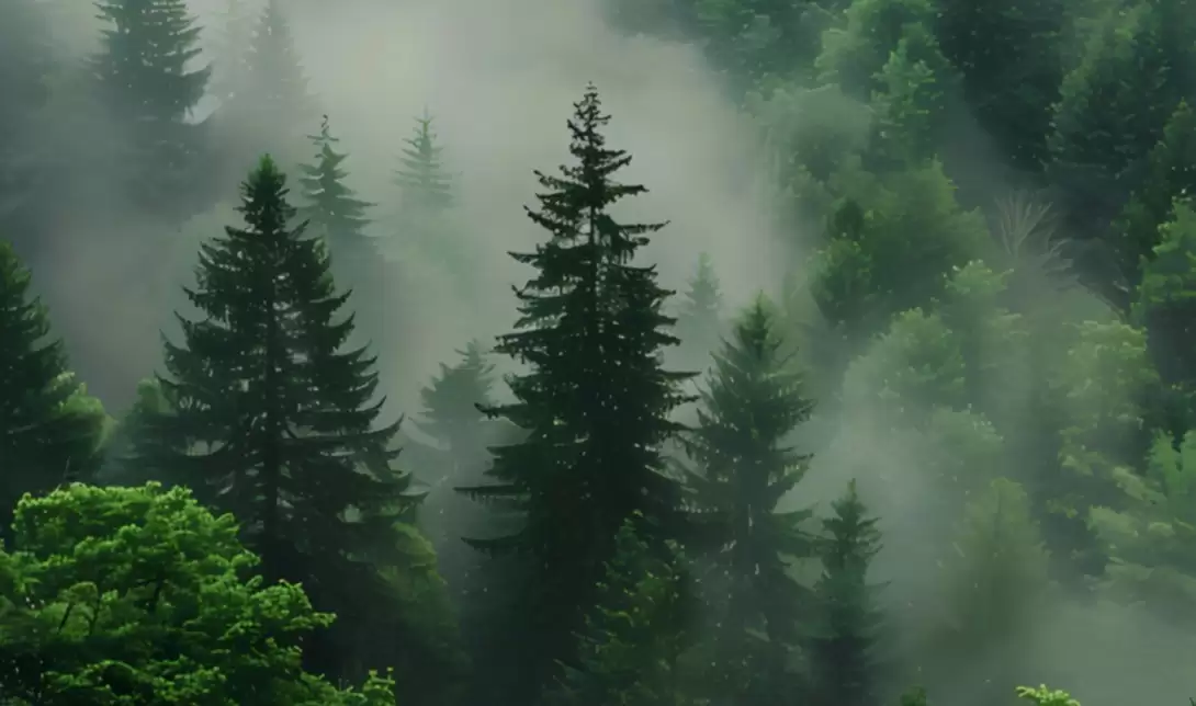 �۽���˫̼�� �뽵���������⻷�����»����ܰ칫�豸��ҵ��ҵ���