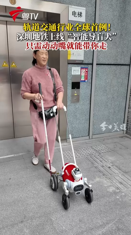 ���ڵ����������ܵ�äȮС�� ����������ʿ�ǻ۳���