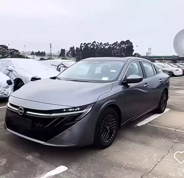 ȫ��һ�������ղ��������࣬2026������