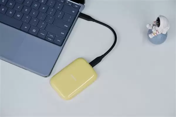 �����洢��̬�鳱����SSD�������������+˫����ɫ