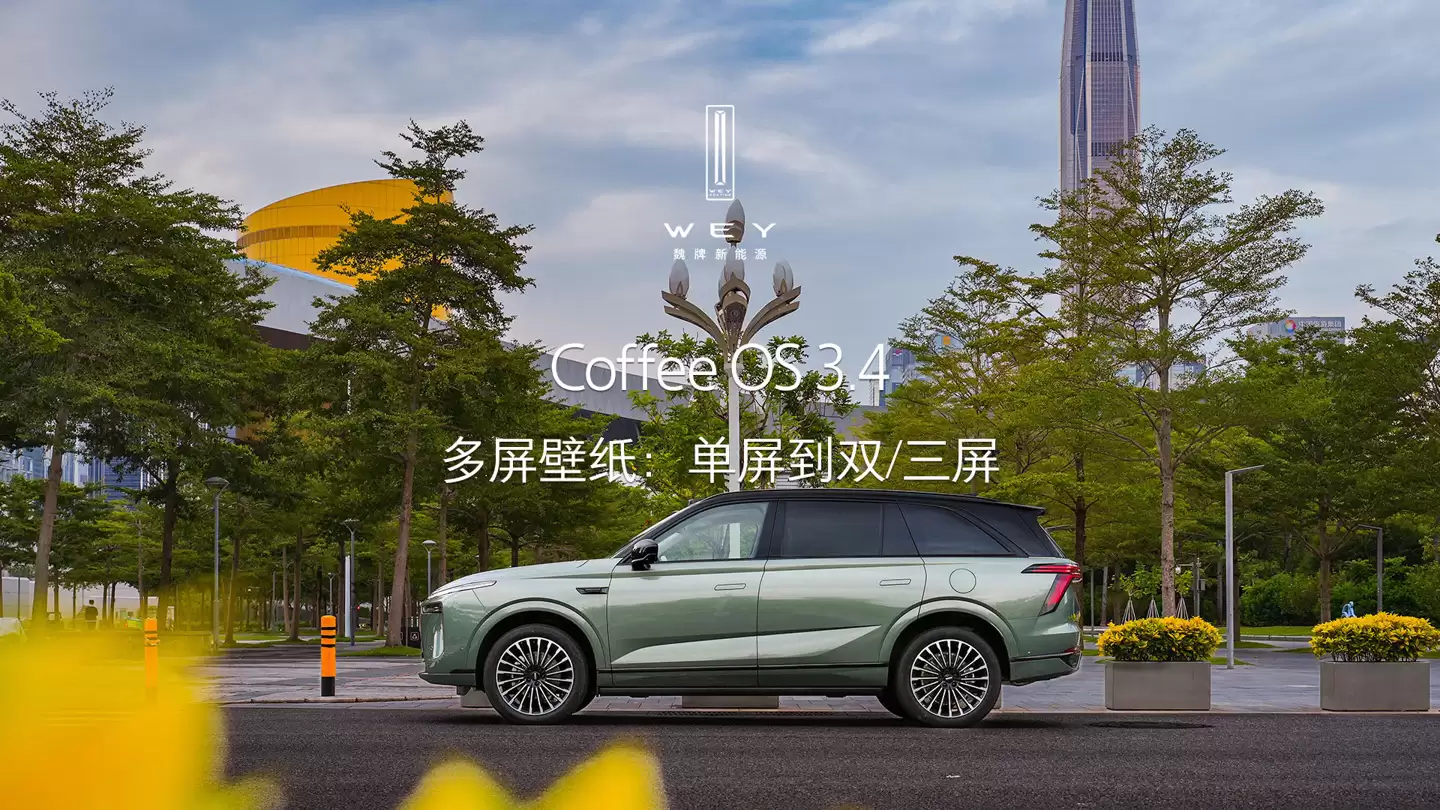 κ��ȫ����ɽ���ܽ��װ� 12 �� 22 �����У��״������ VLA ��ģ��