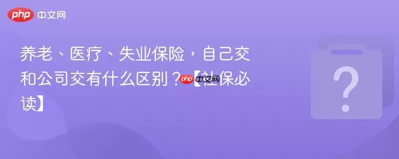 ���ϡ�ҽ�ơ�ʧҵ���գ��Լ����͹�˾����ʲô���𣿡��籣�ض���