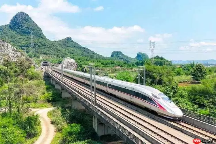 ������ô��ѧ��Ʊ ��������ѧ��Ʊ����