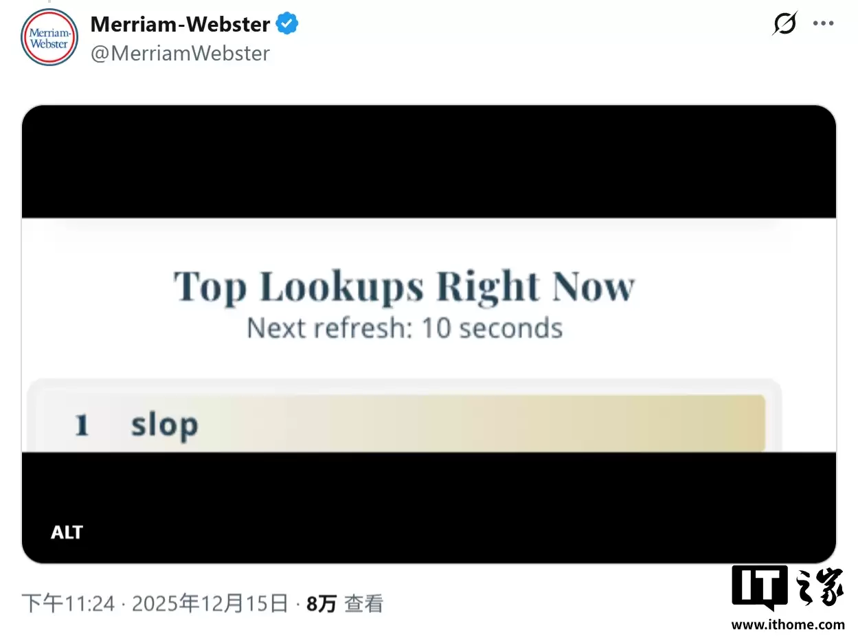 Τ�ϴʵ������slop��ѡ 2025 ��ȴʻ�