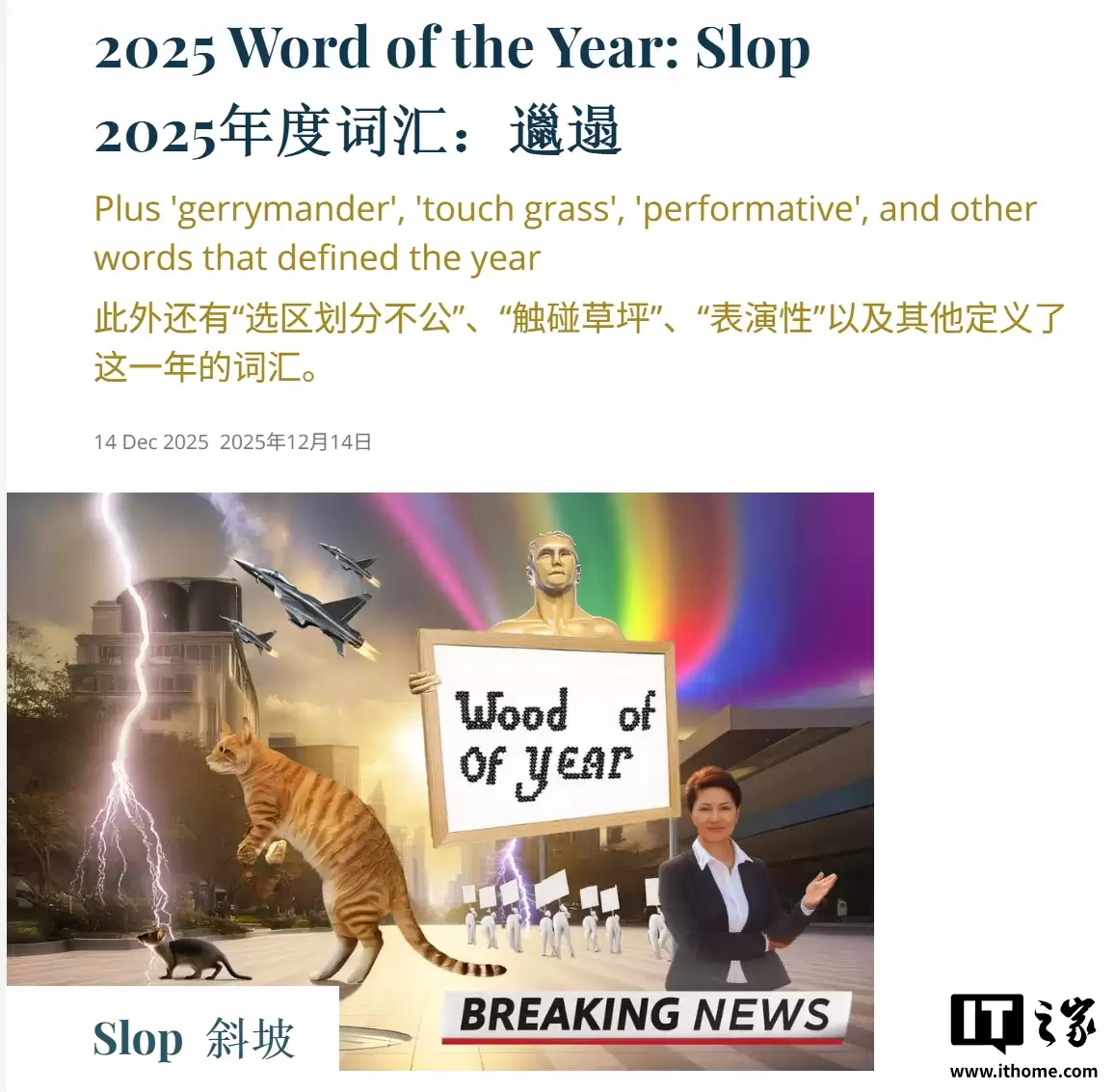 Τ�ϴʵ������slop��ѡ 2025 ��ȴʻ�