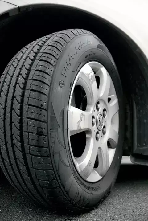 �ְ��ֽ��㿴����̥�ϵ����ܱ��