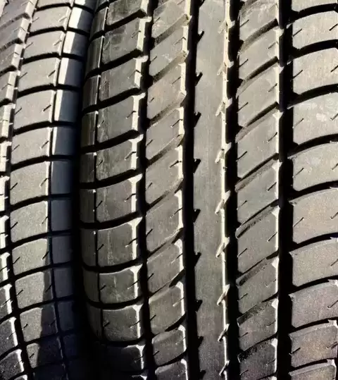 ��̥���Ʊ���ӣ�5����������߱�֪