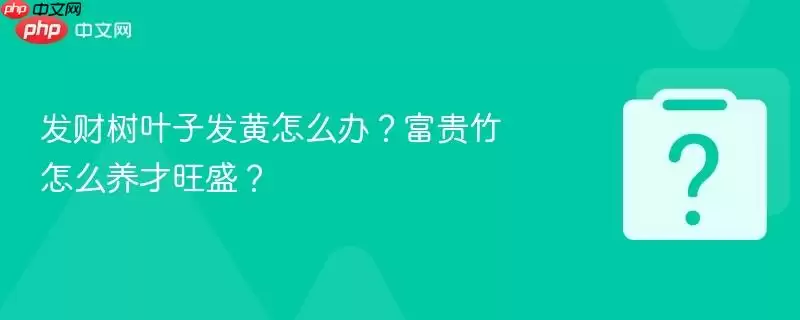 ������Ҷ�ӷ�����ô�죿��������ô������ʢ��