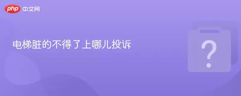 ������Ĳ��������Ķ�Ͷ��