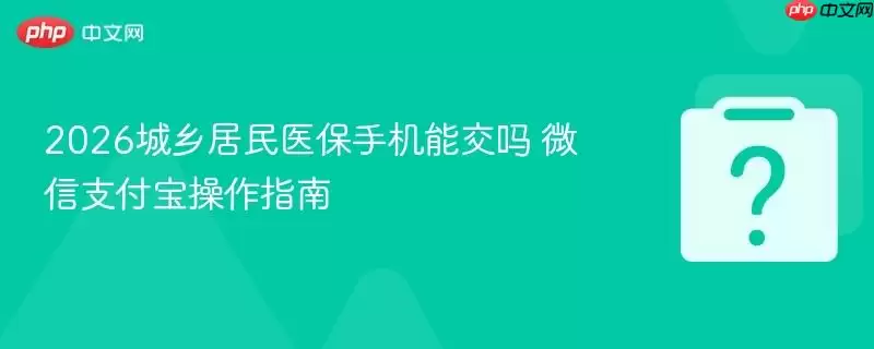 2026�������ҽ���ֻ��ܽ��� ΢��֧��������ָ��