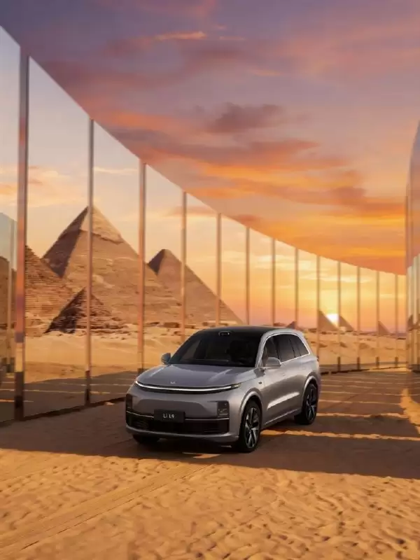 ������������ȫ�򻯲��� ��������������˹̹�����ݽ�