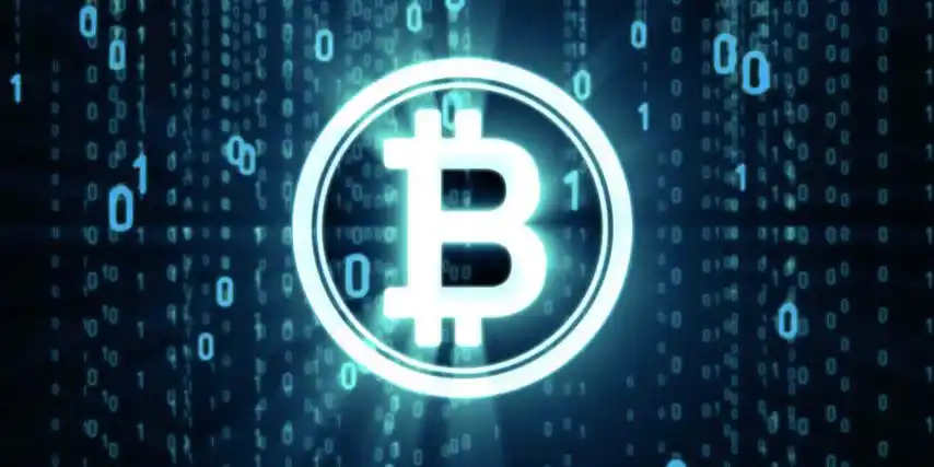 ��ѹۿ�����������վ ʮ����ѹۿ�����������վ����Щ