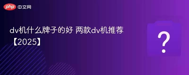 dv��ʲô���ӵĺ� ����dv���Ƽ���2025��