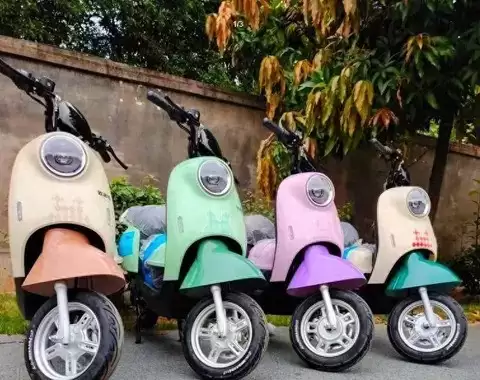 2026���糵�����㣺�³��ͽ�����