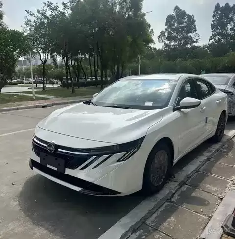 ȫ���ղ�����ʵ���ع� 2026������