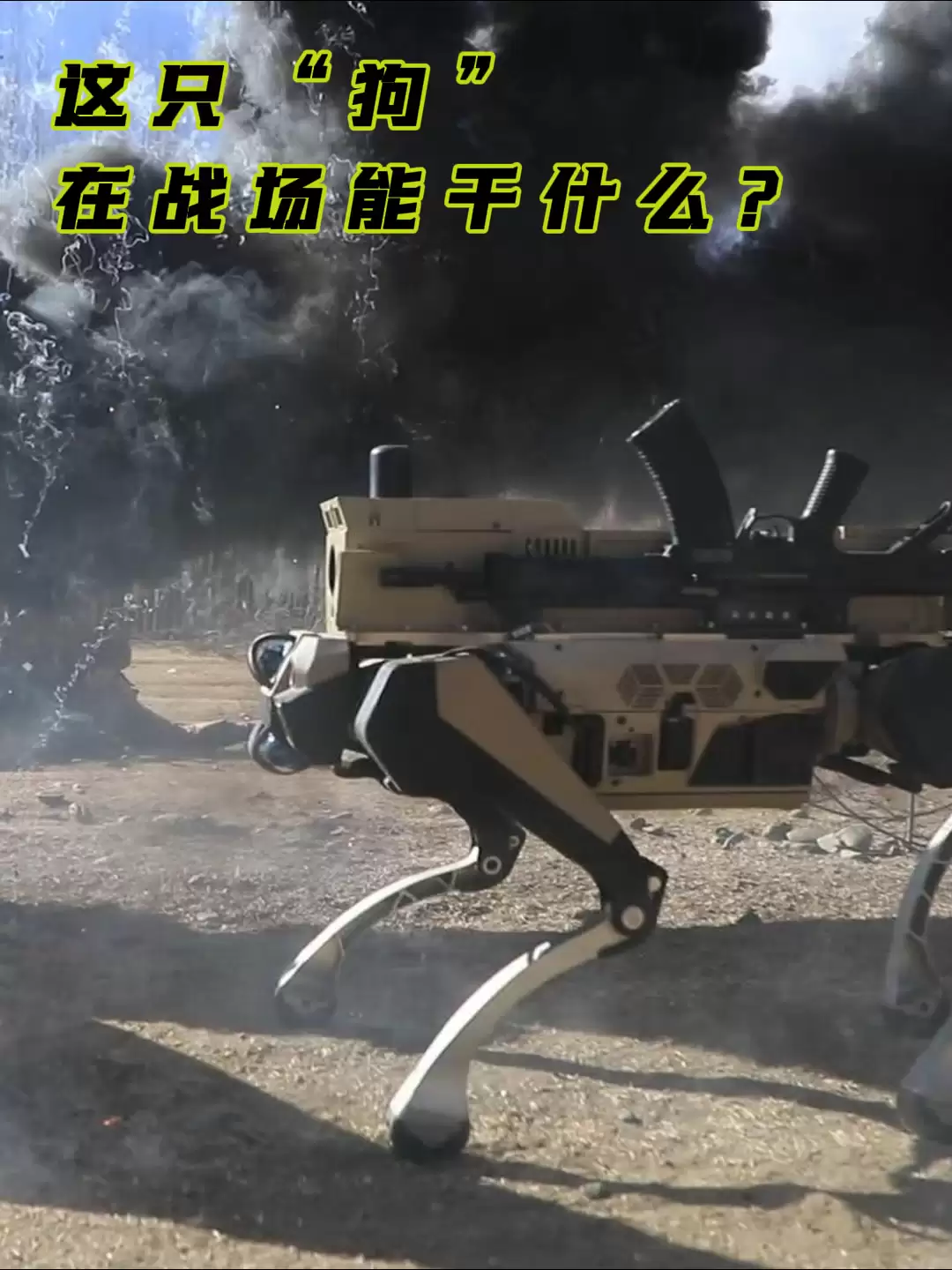 ����������ǹ�ϸ�ԭ�����ؾ���ĳ��ʵս����ѵ��ѵ���湫��