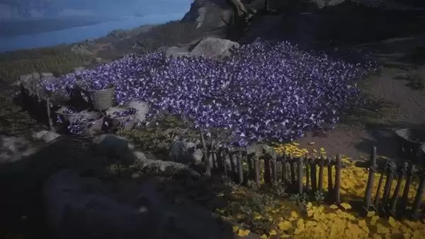 ����ʮ��������Ͳɼ�����