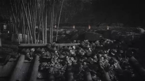 ����ʮ��������Ͳɼ�����