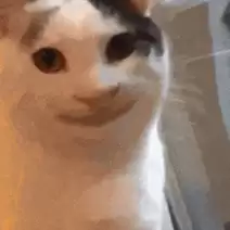 ChatGPT �ķ磬ԭ���ؿ�����