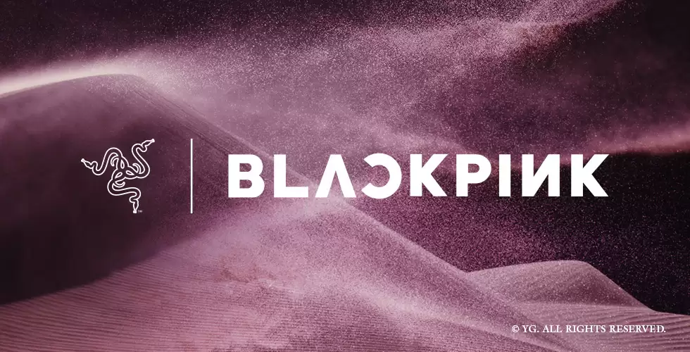 ���߹����������� K-pop Ů����� BLACKPINK������������������