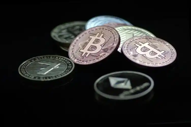 2025������ǰʮ�ı�������Щ�����ֵ��ֵ��Ͷ����