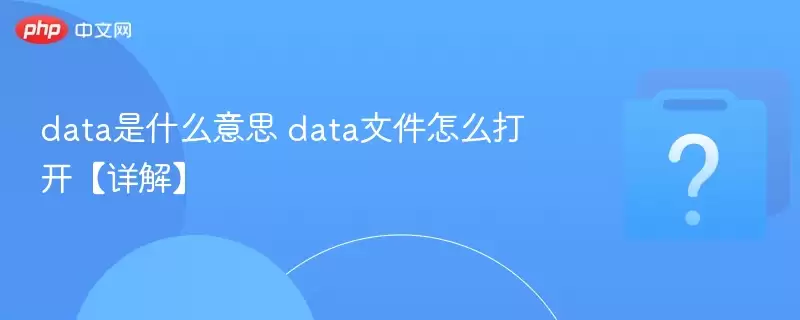 data��ʲô��˼ data�ļ���ô�򿪡���⡿