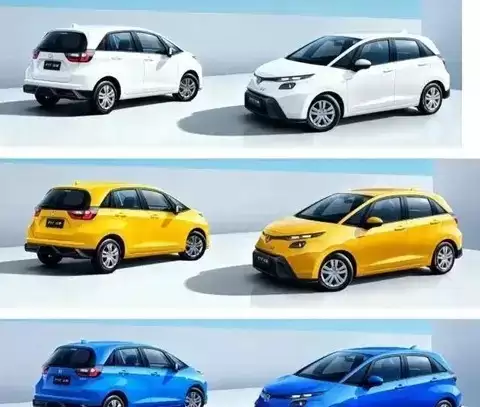 ȫ�±���ɶ�ʵ���ع� 2026������